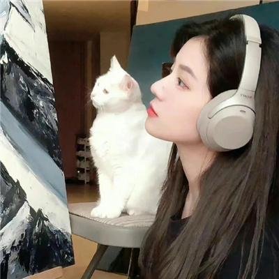 华尔街狼人 在线观看封面