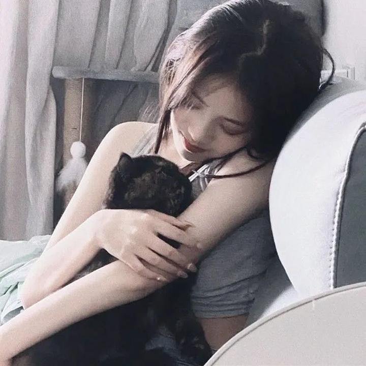 荡女之家 在线观看封面